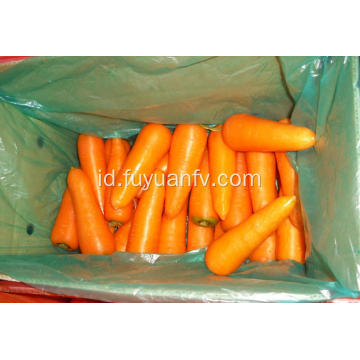 Sayuran wortel segar untuk dijual